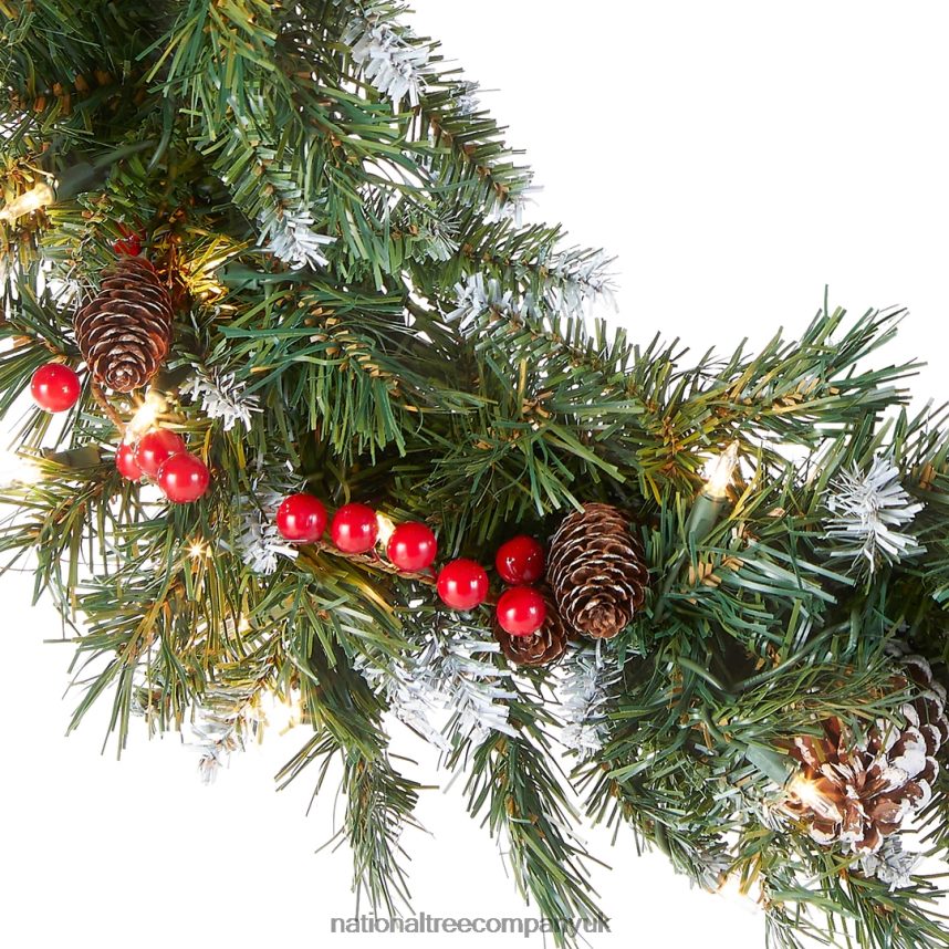 Greenery | National Tree Company Pre-Lit Artificial Christmas Wreath Green Frosted Berry White Lights Decorated with Pine Cones Berry Clusters Frosted Branches Christmas Collection 24 Inches F